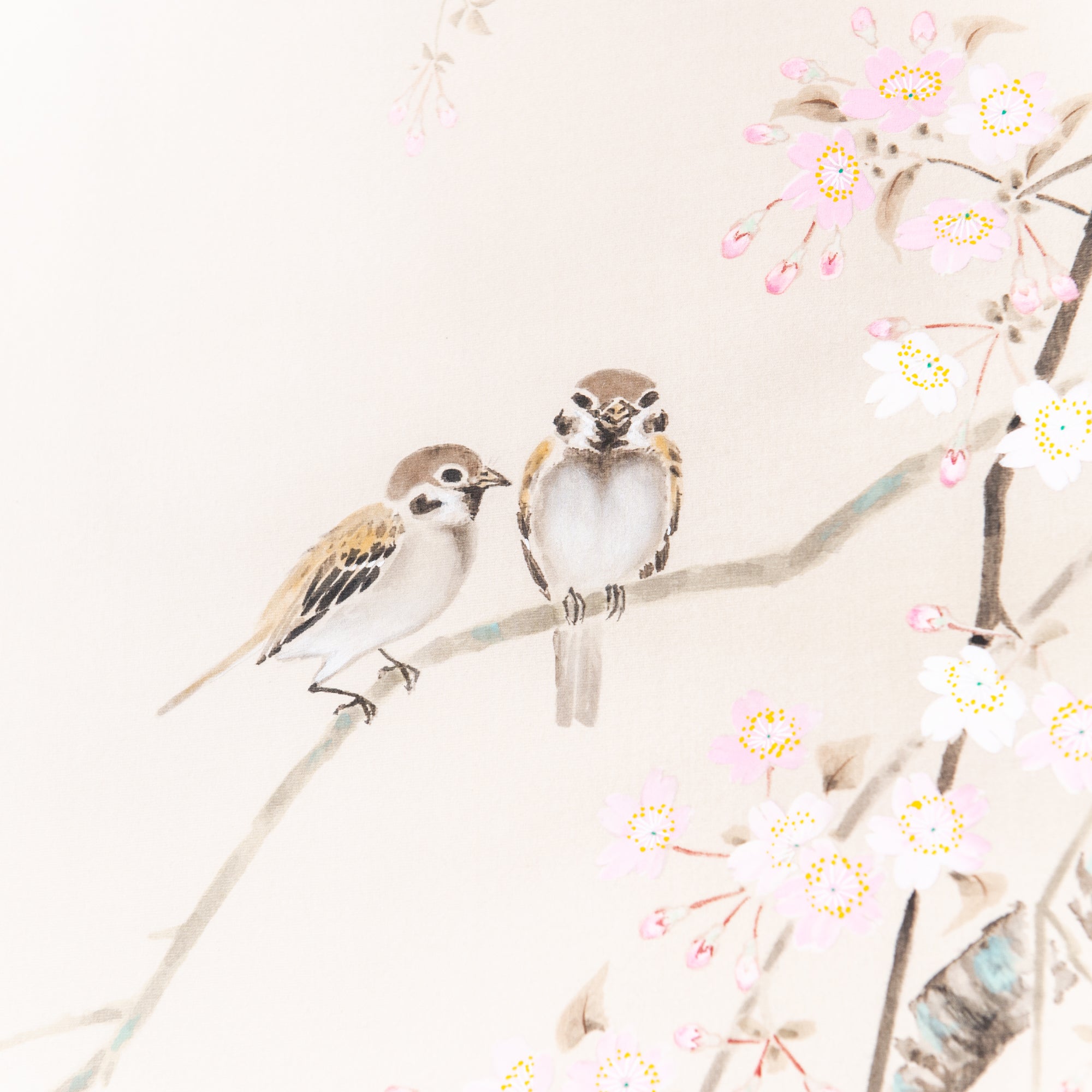 Cherry Blossoms and Small Birds / Kakejiku Hanging Scroll