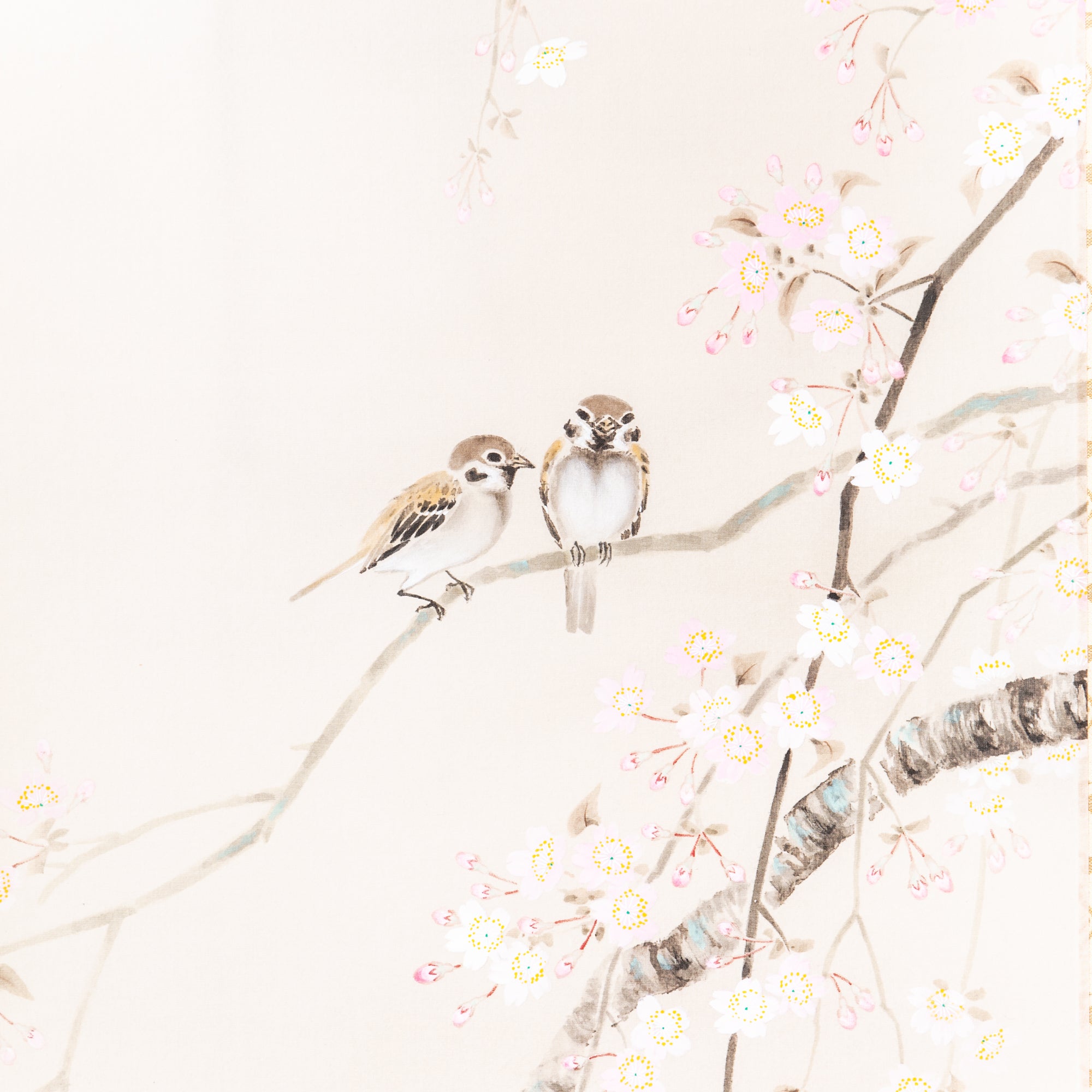 Cherry Blossoms and Small Birds / Kakejiku Hanging Scroll