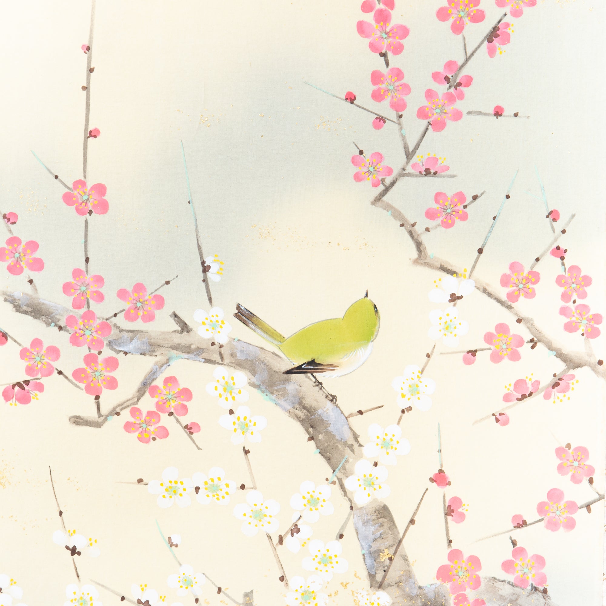 Warbler Among Red and White Plum Blossoms / Kakejiku Hanging Scroll