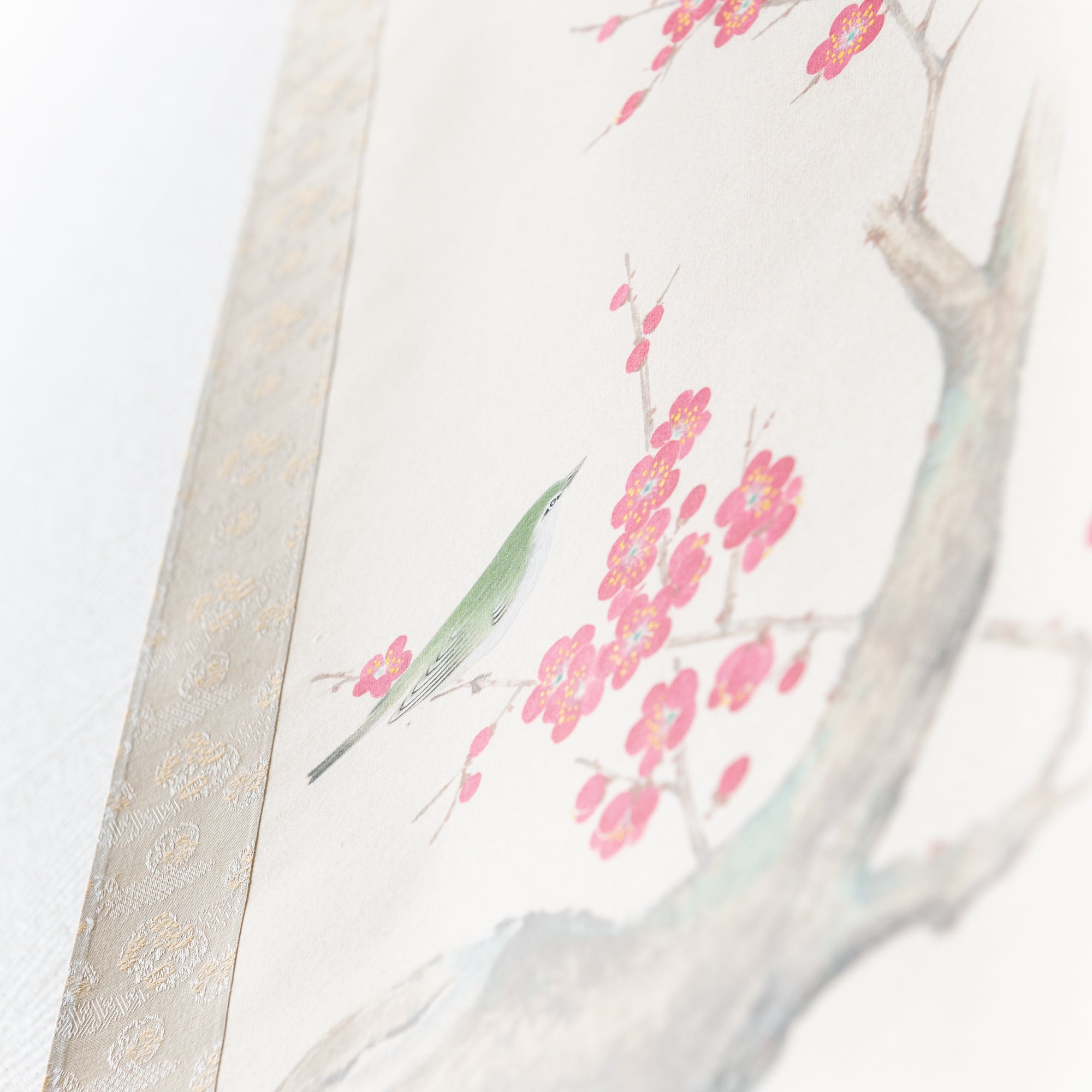 Red Plum Blossoms with Warbler / Kakejiku Hanging Scroll