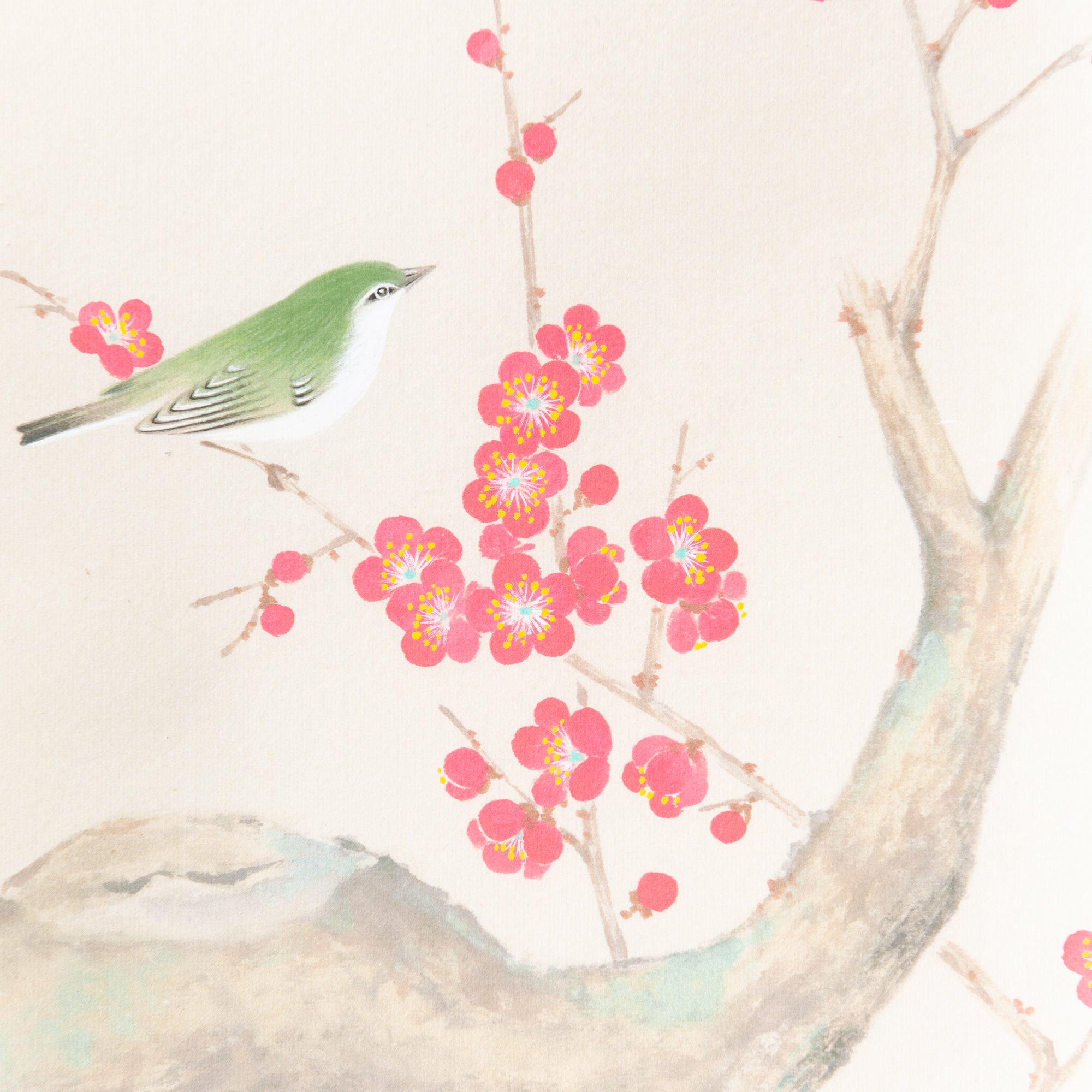 Red Plum Blossoms with Warbler / Kakejiku Hanging Scroll