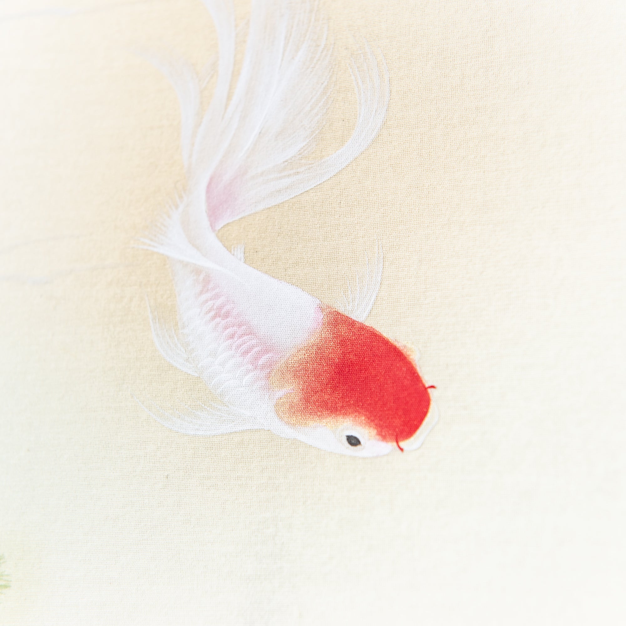 Goldfish / Kakejiku Hanging Scroll