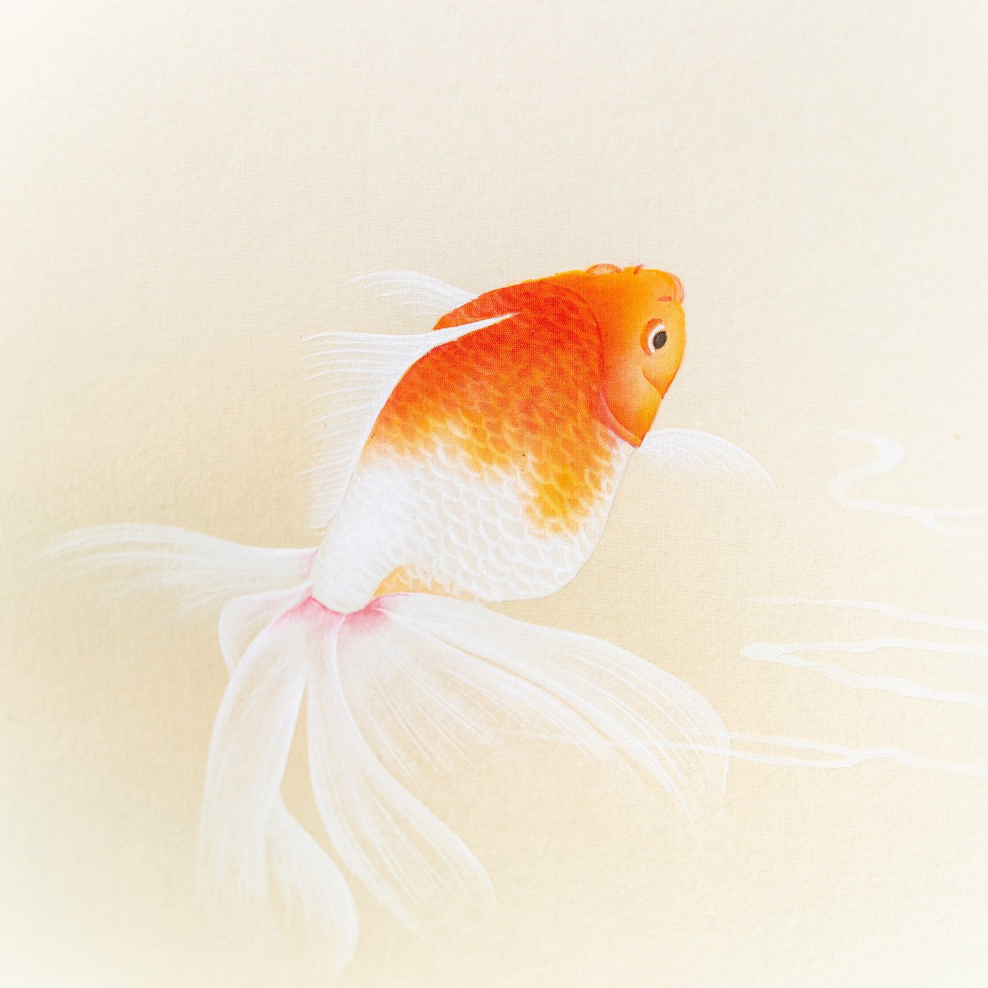 Goldfish / Kakejiku Hanging Scroll